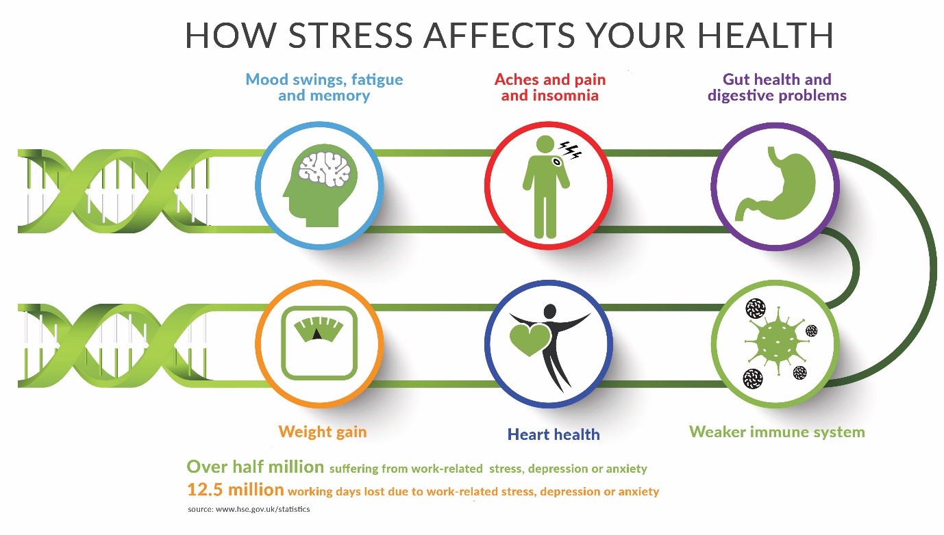 How Stress Affects Your Health MyDNAhealth