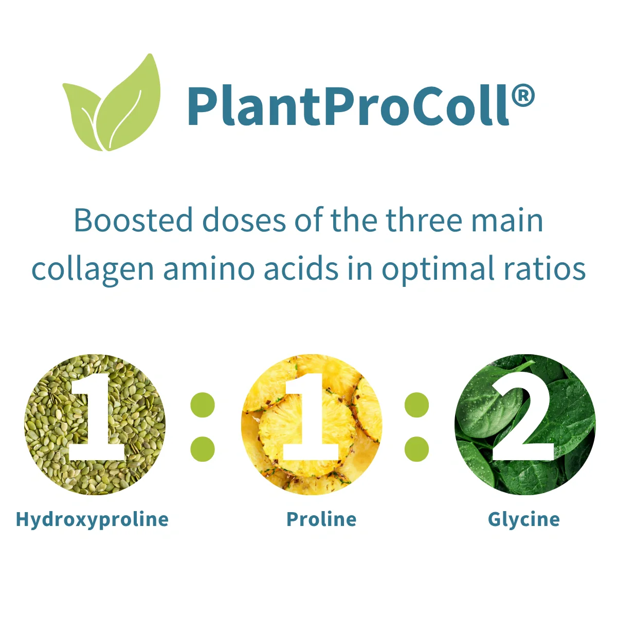 Vegan Pro-Collagen Protein Powder - Image 2