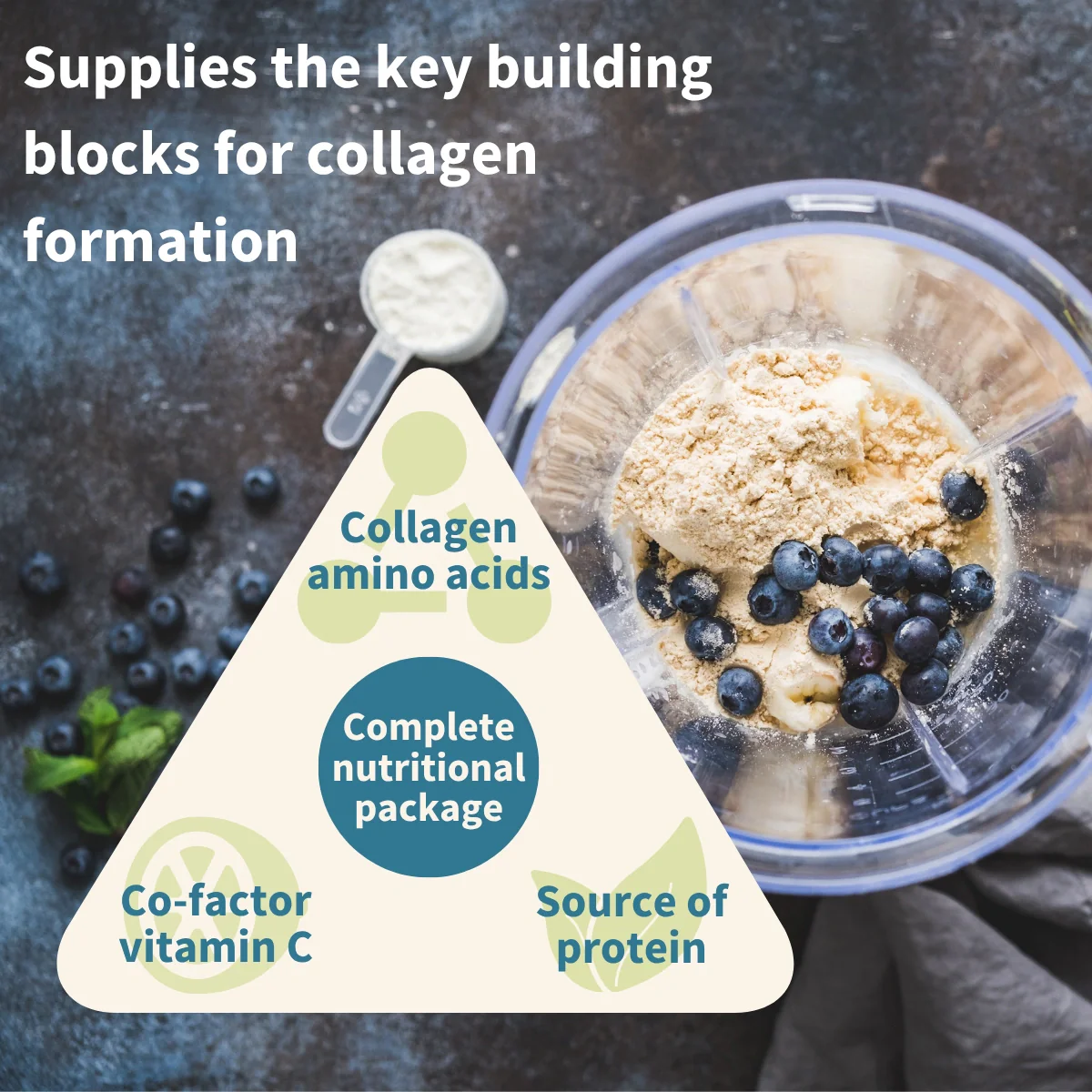 Vegan Pro-Collagen Protein Powder - Image 3