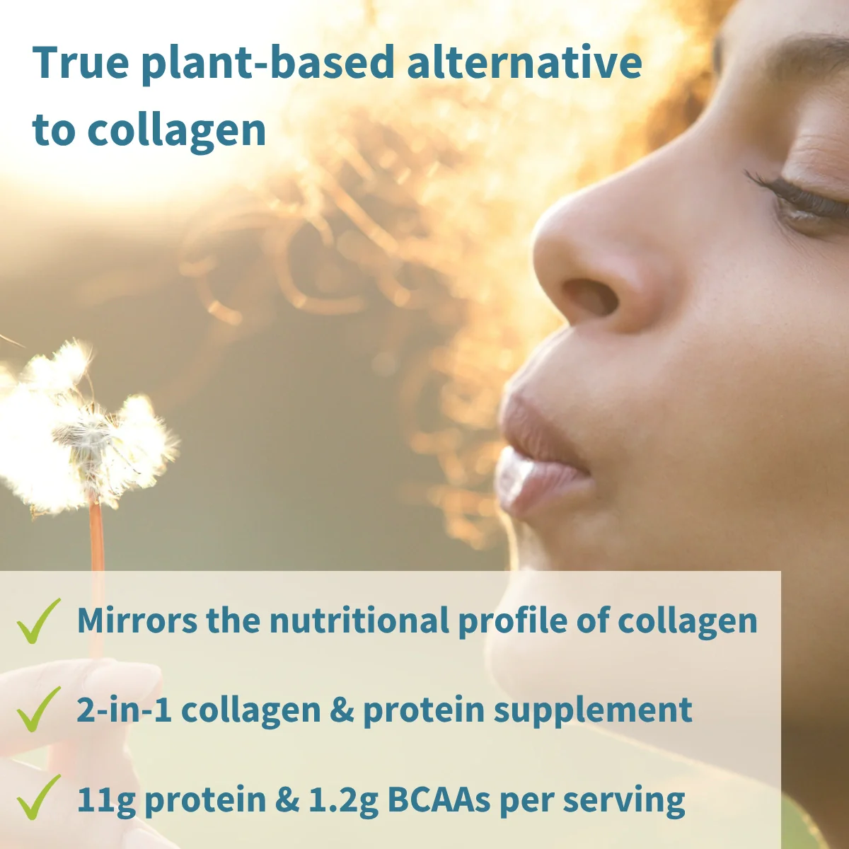 Vegan Pro-Collagen Protein Powder - Image 4