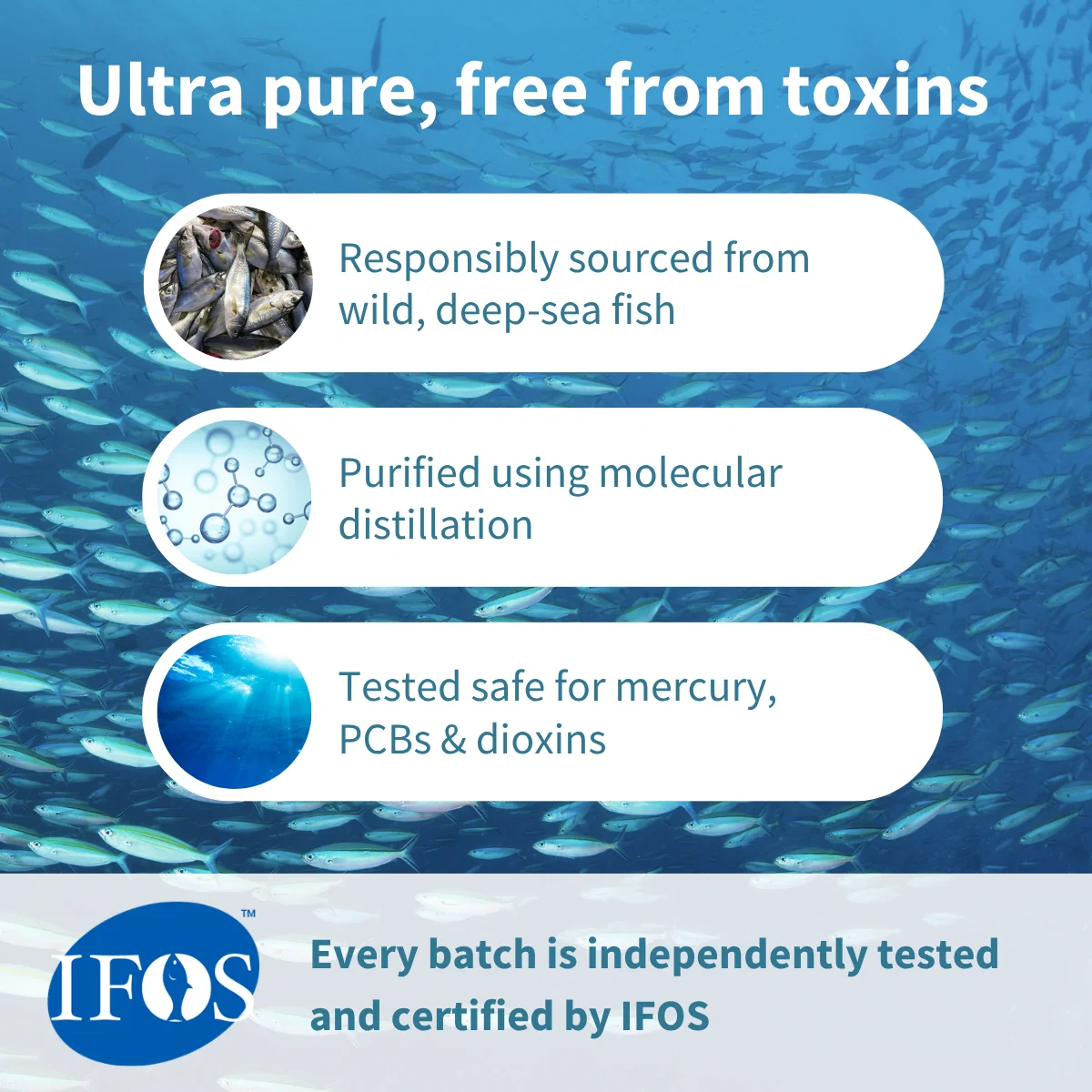 High absorption Omega-3 Wild Fish Oil - Image 3